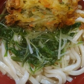 かきあげ水菜うどん